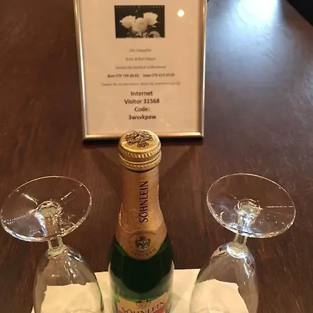 Haus Rhaetikon Mayer Davos