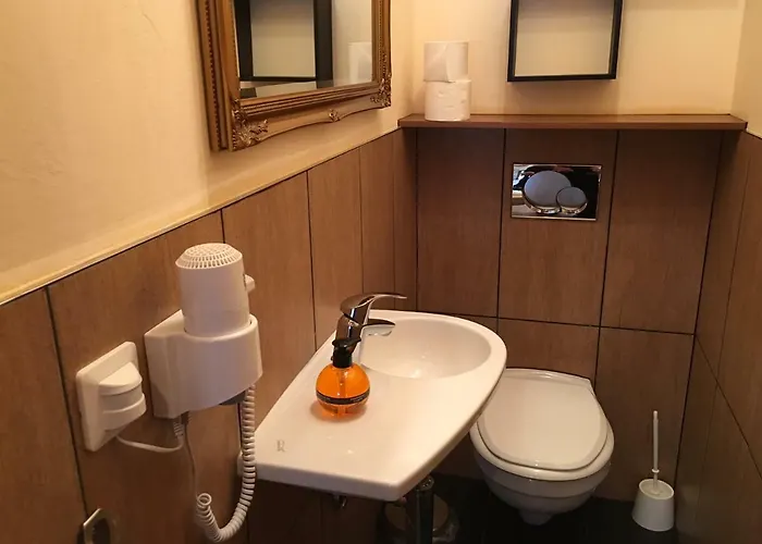 Haus Rhaetikon Mayer * 达沃斯